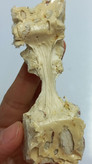گز شیره انگور بادام درختی