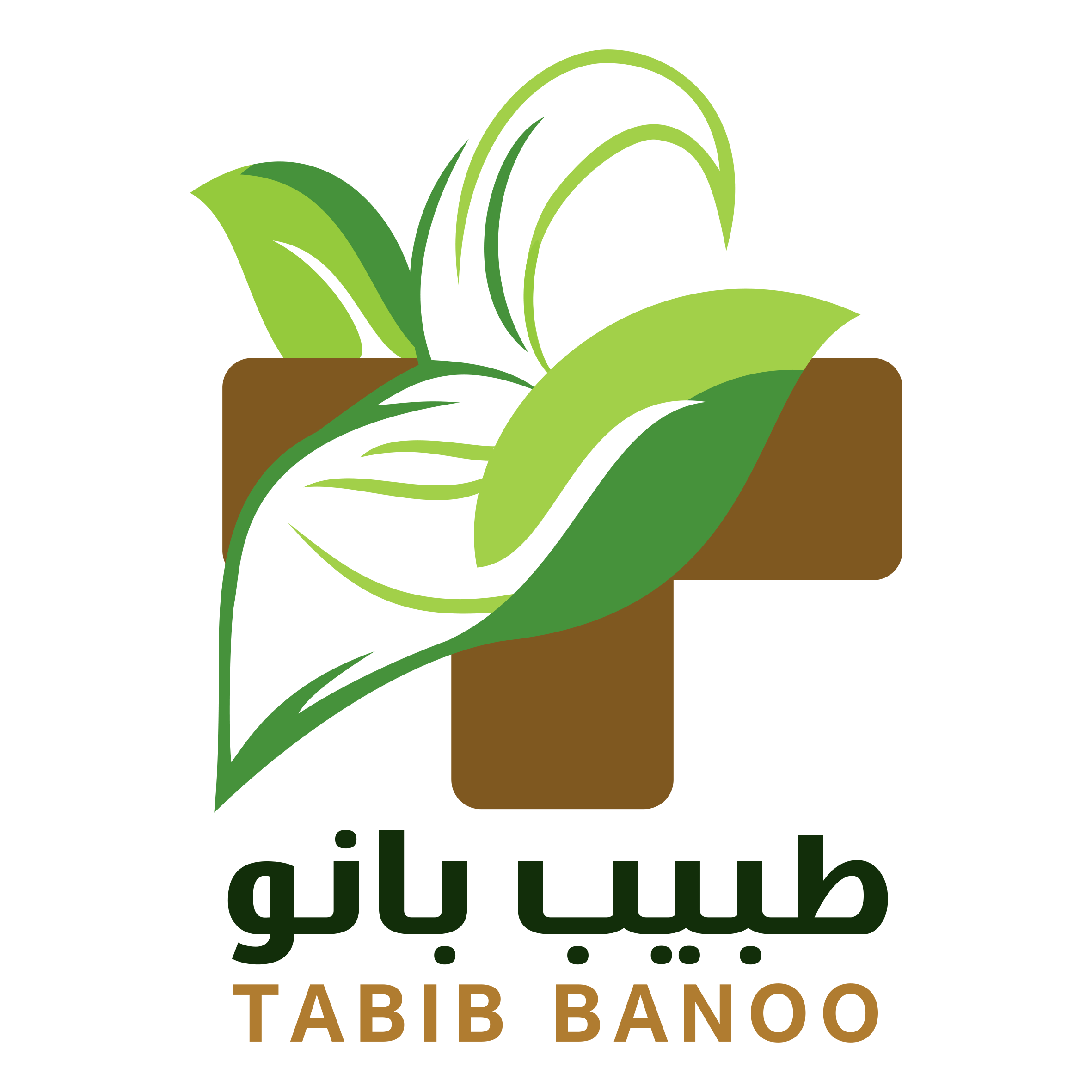 طبیب بانو